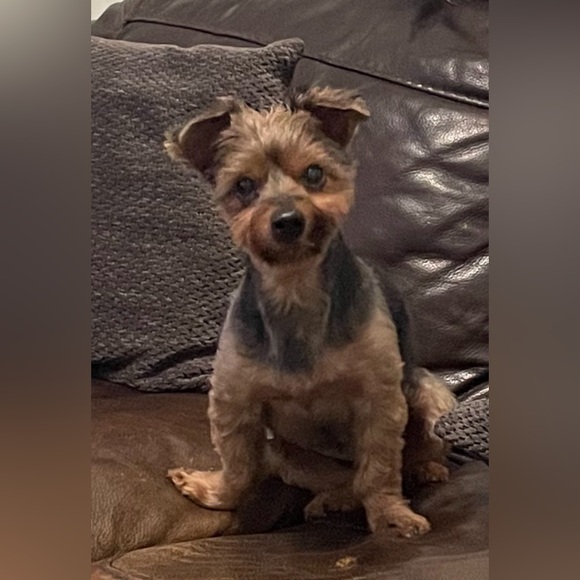 UPDATED October 2024 - Picture 6 of 6